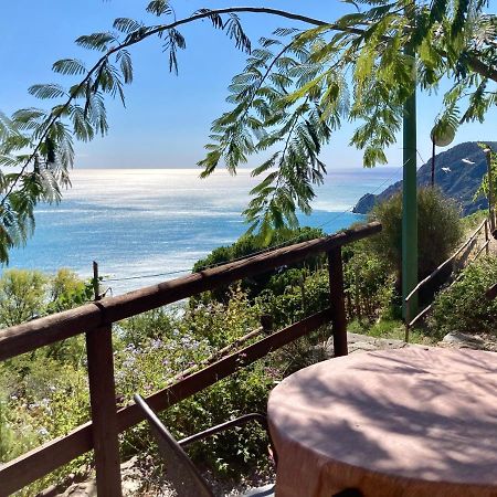 Villa Pietrafiore Monterosso al Mare Esterno foto
