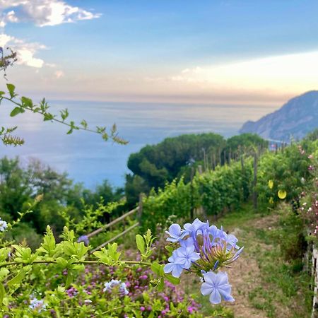 Villa Pietrafiore Monterosso al Mare Esterno foto