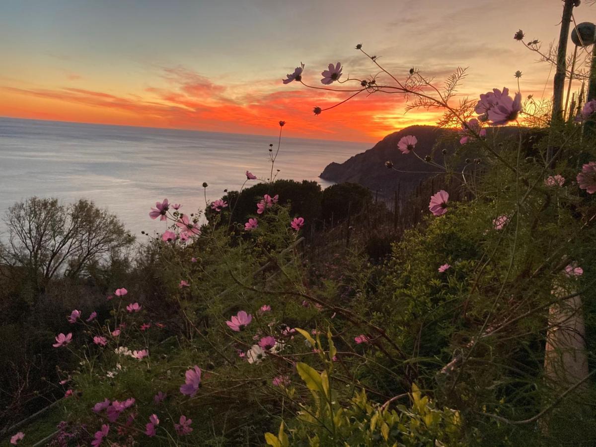 Villa Pietrafiore Monterosso al Mare Esterno foto