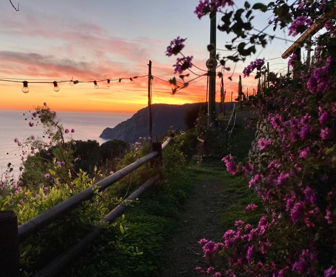 Villa Pietrafiore Monterosso al Mare Esterno foto
