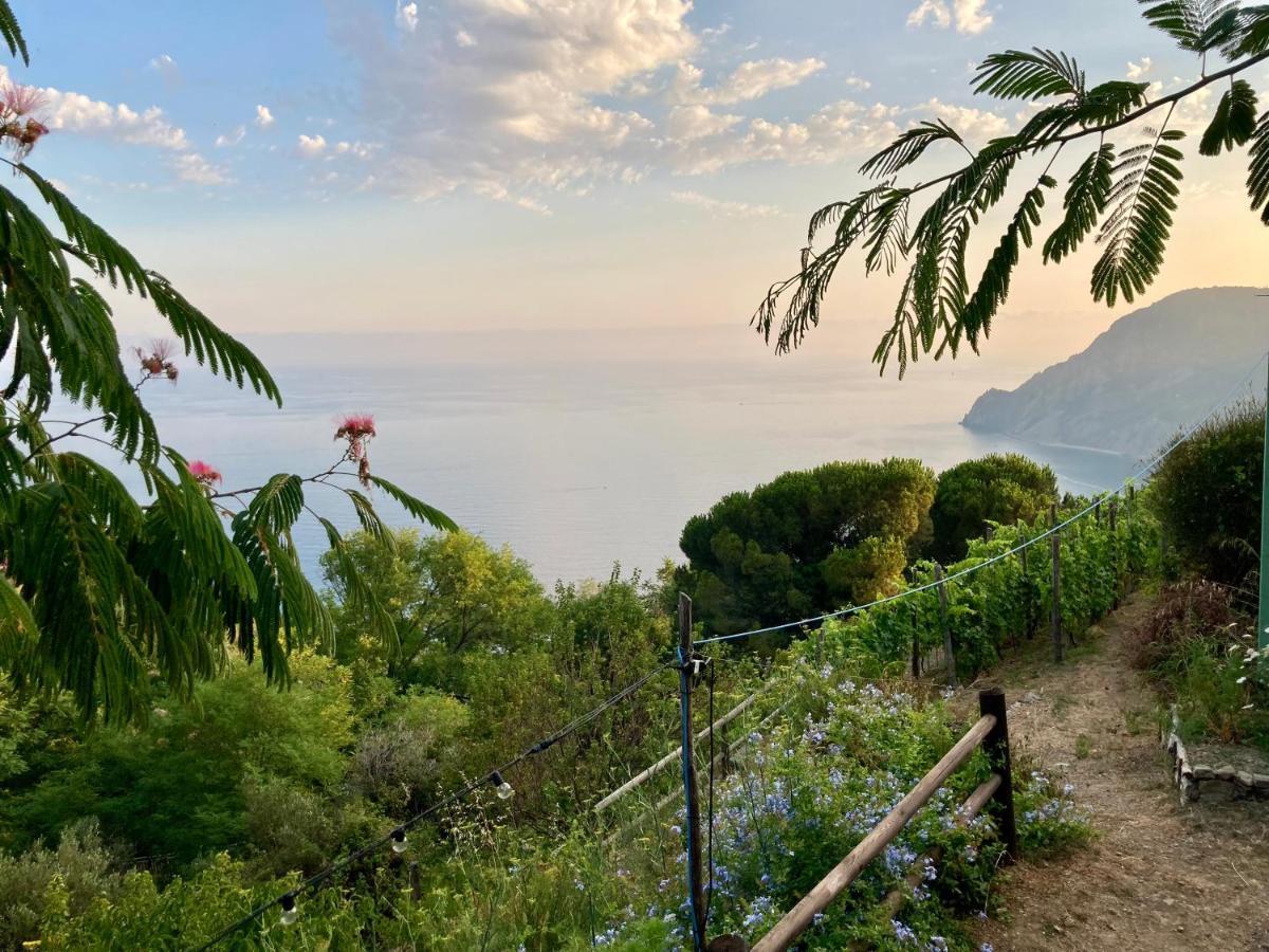 Villa Pietrafiore Monterosso al Mare Esterno foto