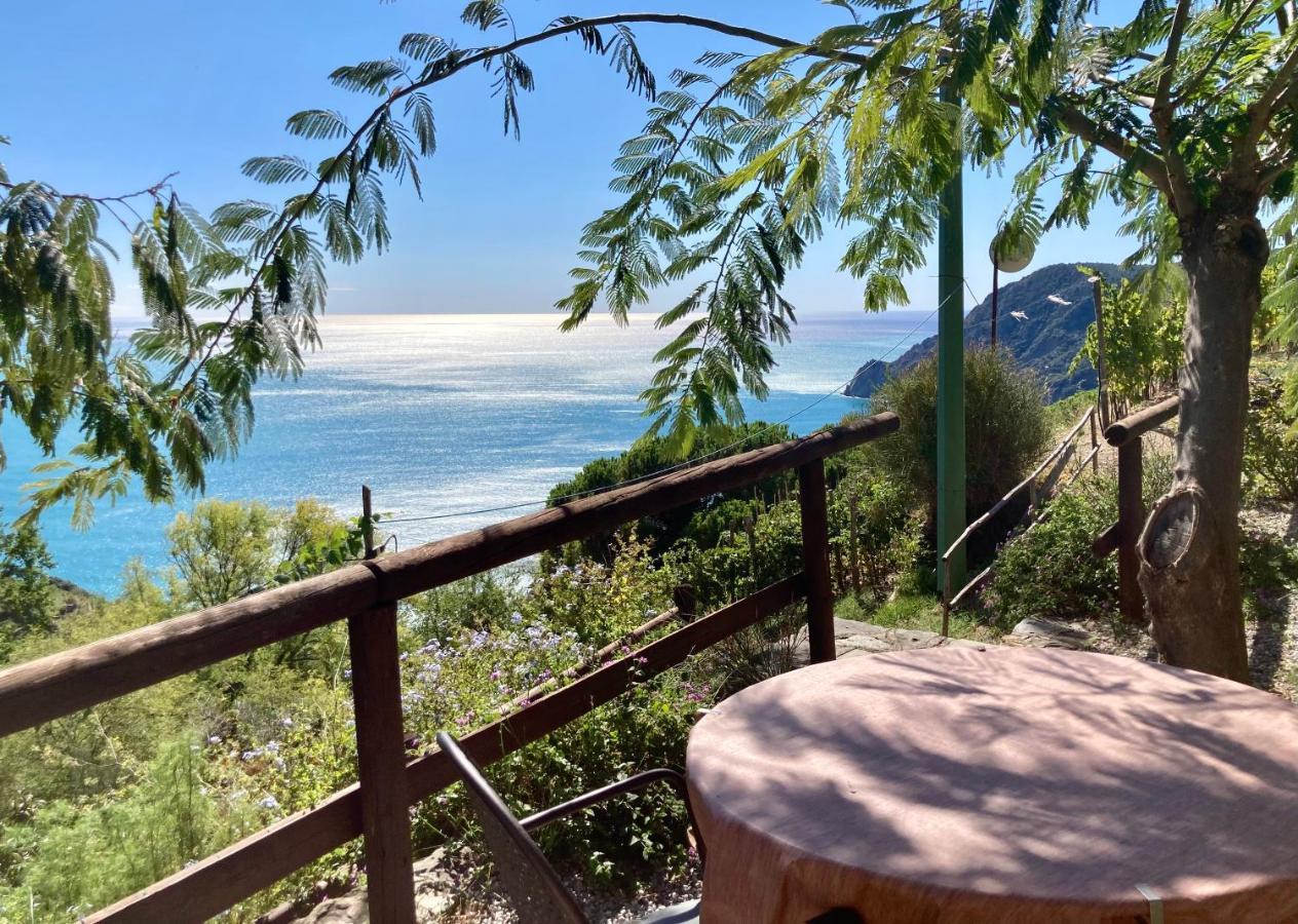 Villa Pietrafiore Monterosso al Mare Esterno foto