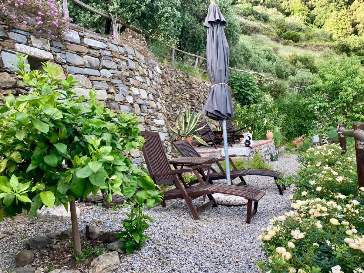 Villa Pietrafiore Monterosso al Mare Esterno foto