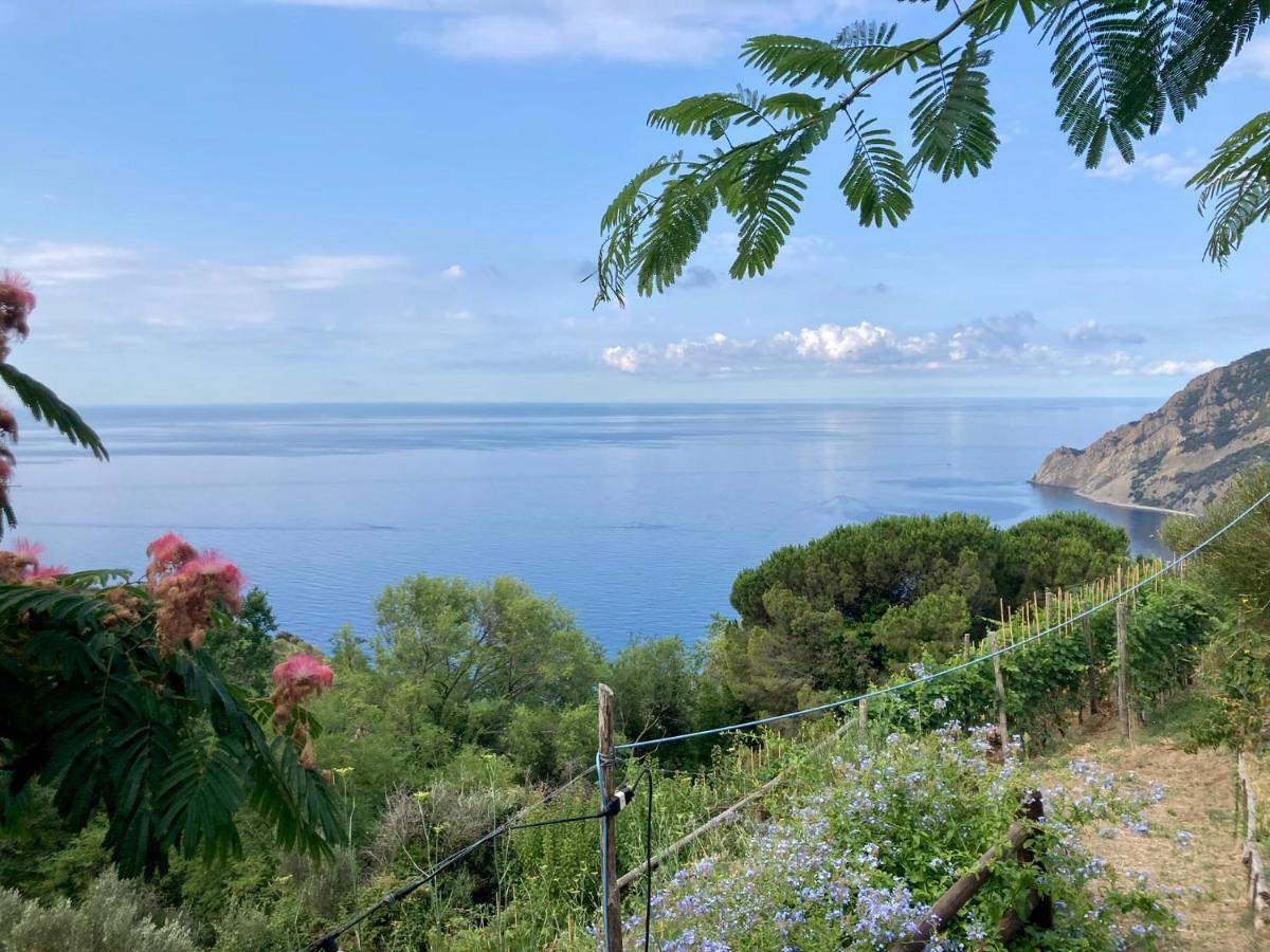 Villa Pietrafiore Monterosso al Mare Esterno foto