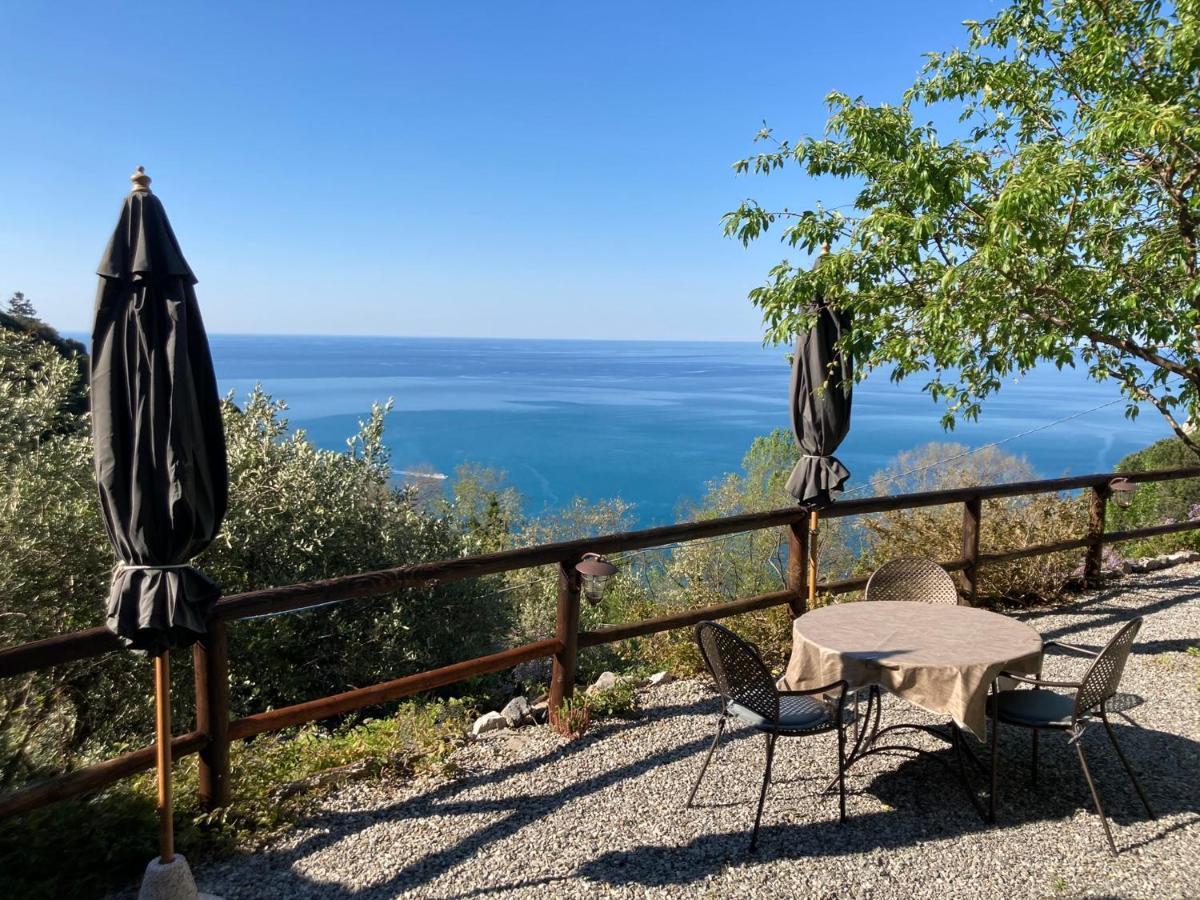Villa Pietrafiore Monterosso al Mare Esterno foto
