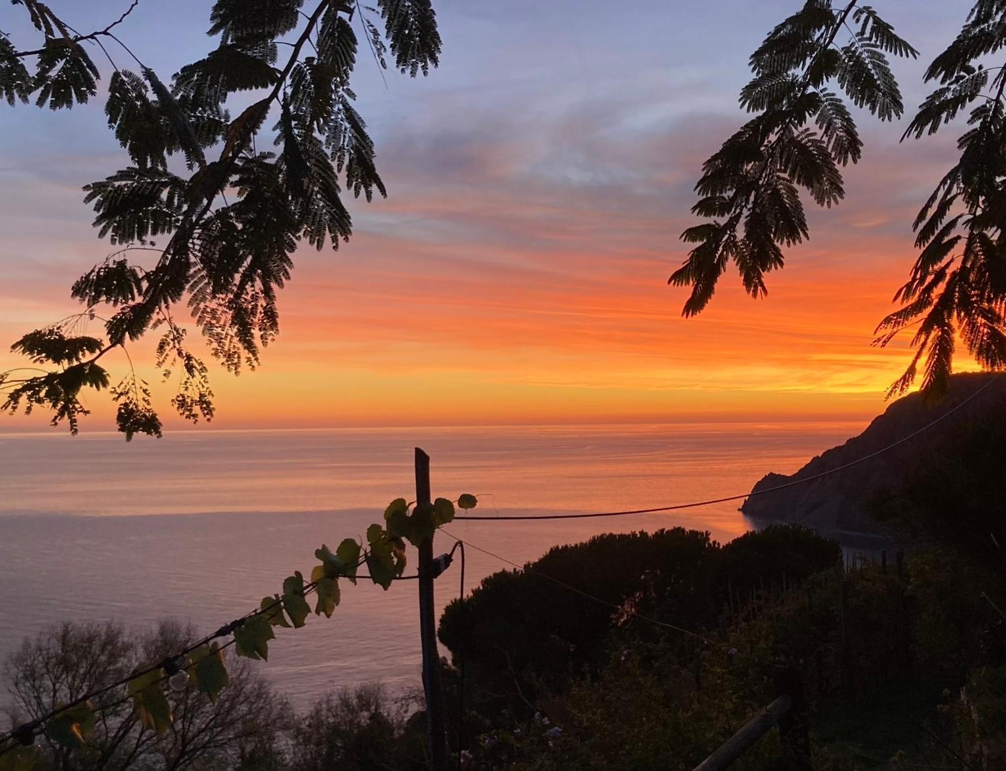 Villa Pietrafiore Monterosso al Mare Esterno foto