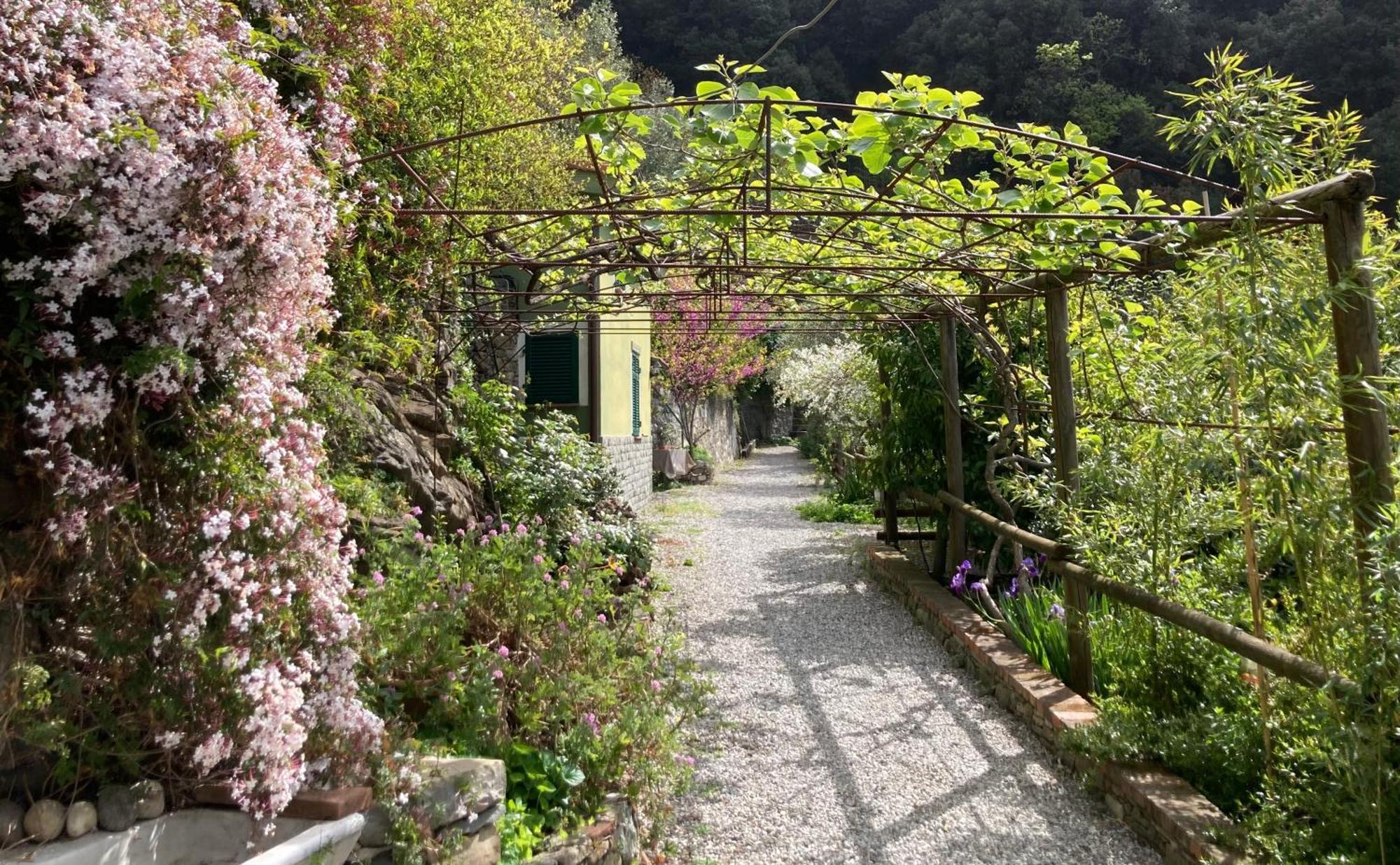 Villa Pietrafiore Monterosso al Mare Esterno foto