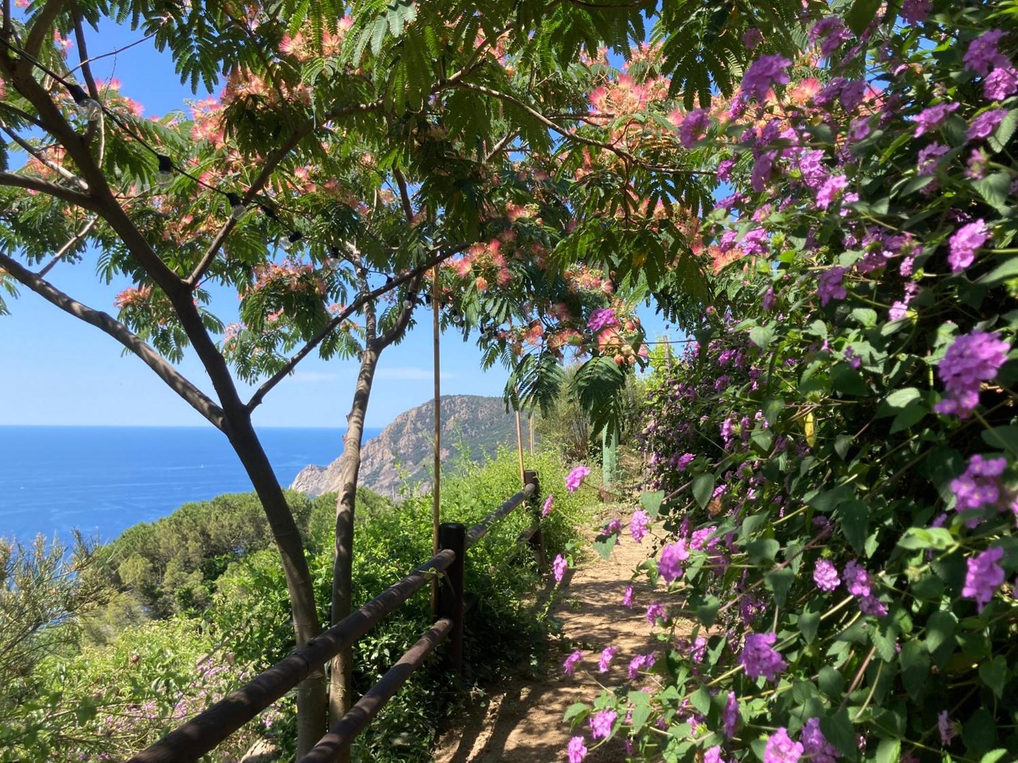 Villa Pietrafiore Monterosso al Mare Esterno foto