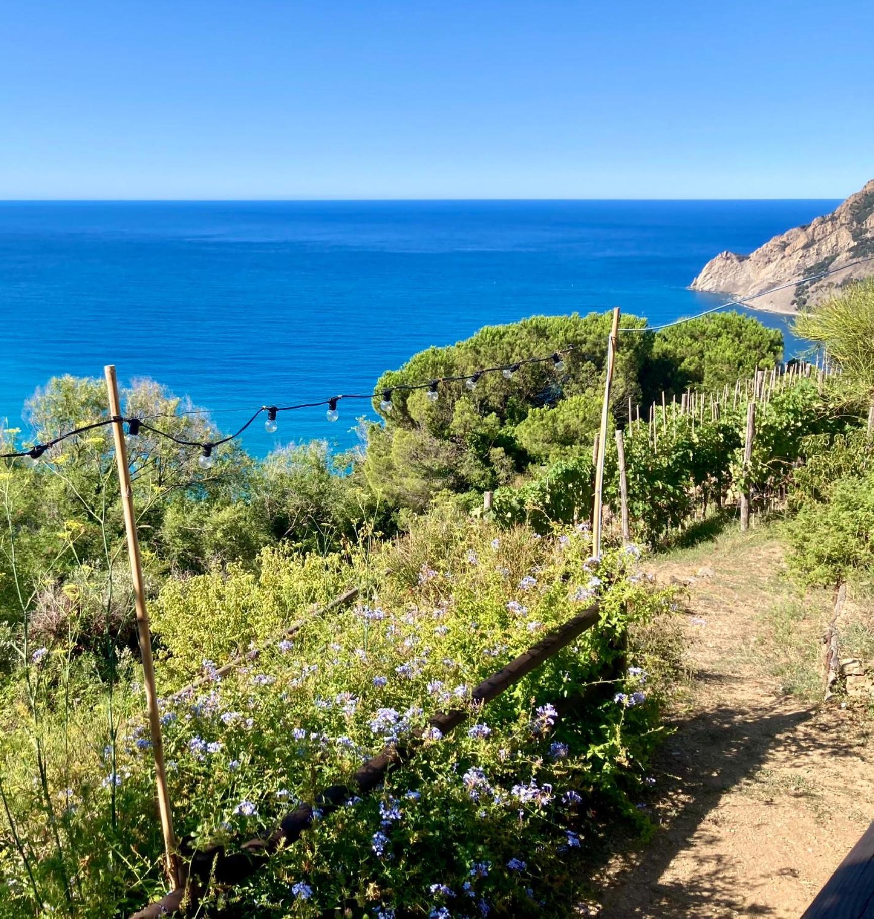 Villa Pietrafiore Monterosso al Mare Esterno foto
