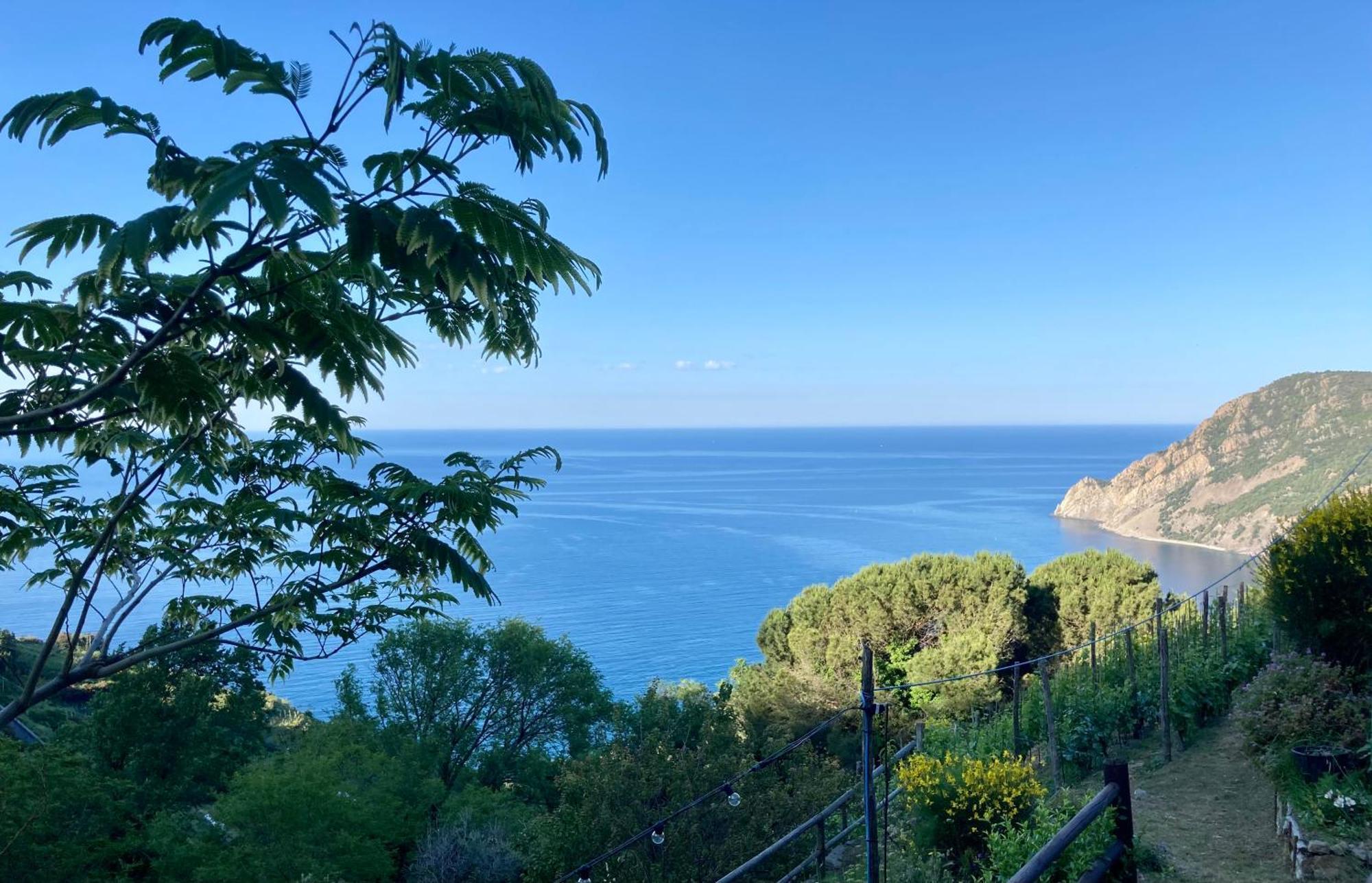 Villa Pietrafiore Monterosso al Mare Esterno foto