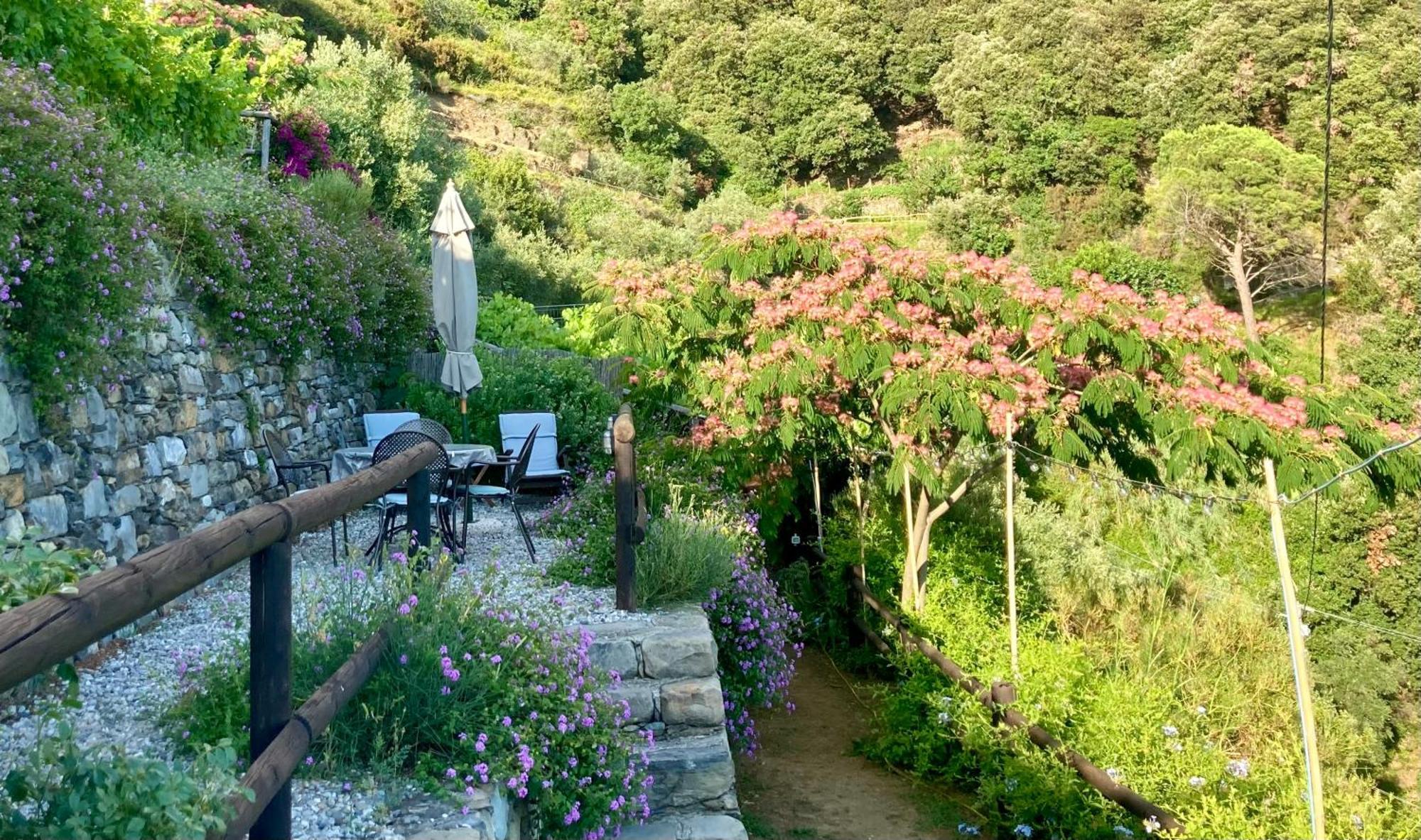 Villa Pietrafiore Monterosso al Mare Esterno foto