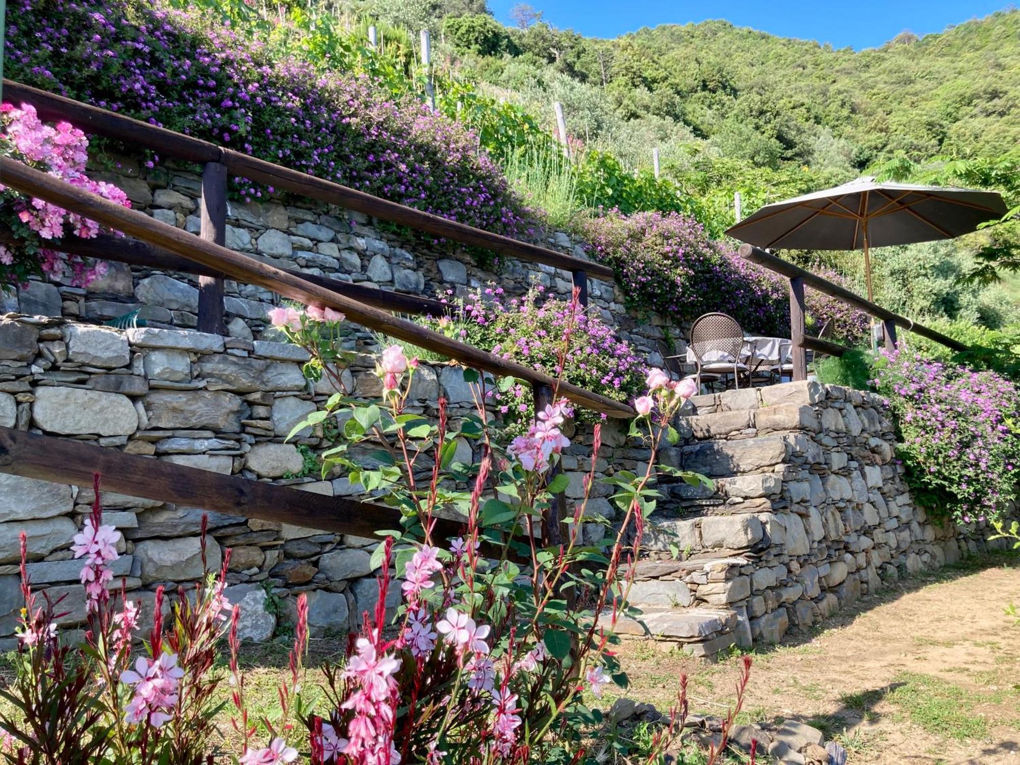 Villa Pietrafiore Monterosso al Mare Esterno foto